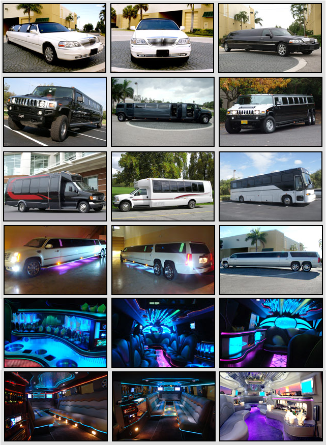 limo service South Houston TX