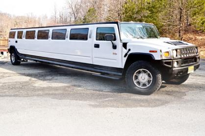 Houston 15 Passenger Limo